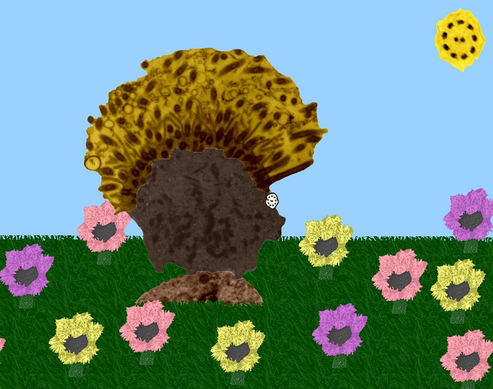 Hedgehog in Ciliaworld - Holly Lenartowicz